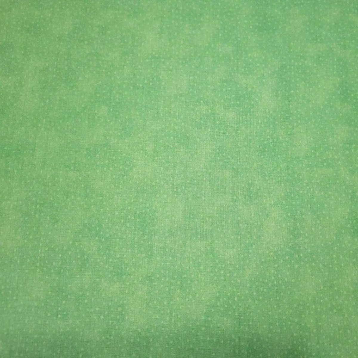 A Beary Fun Day BTY Quilting Treasures Popcorn the Bear Tonal Spring Green Dots