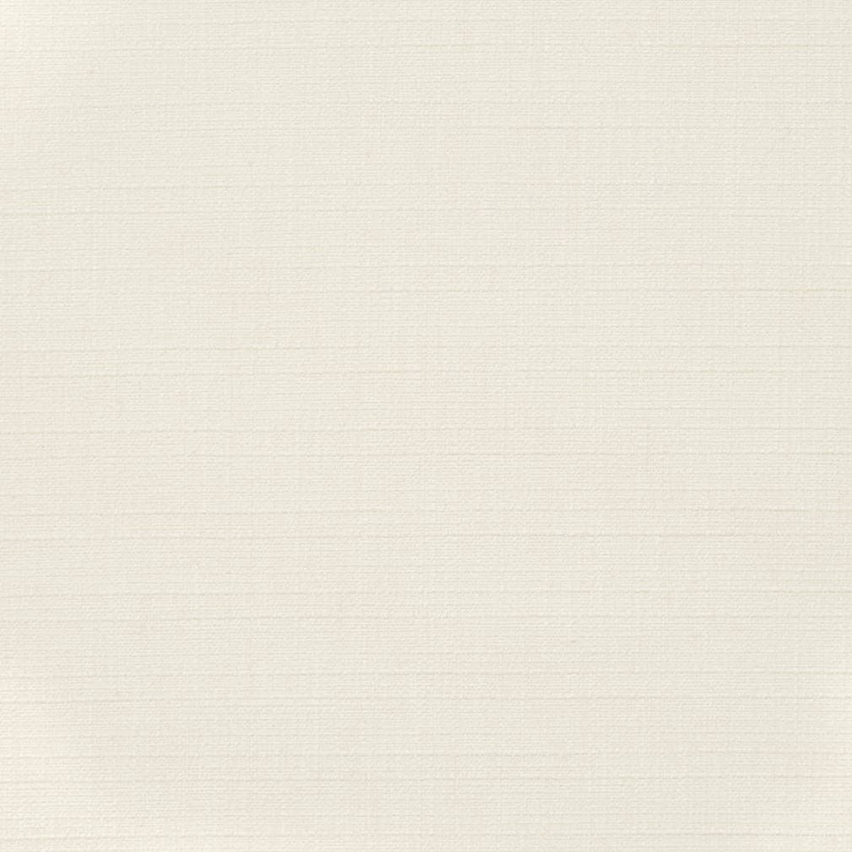D3681 Plain & Solid Snow White & Ivory Charlotte Fabrics