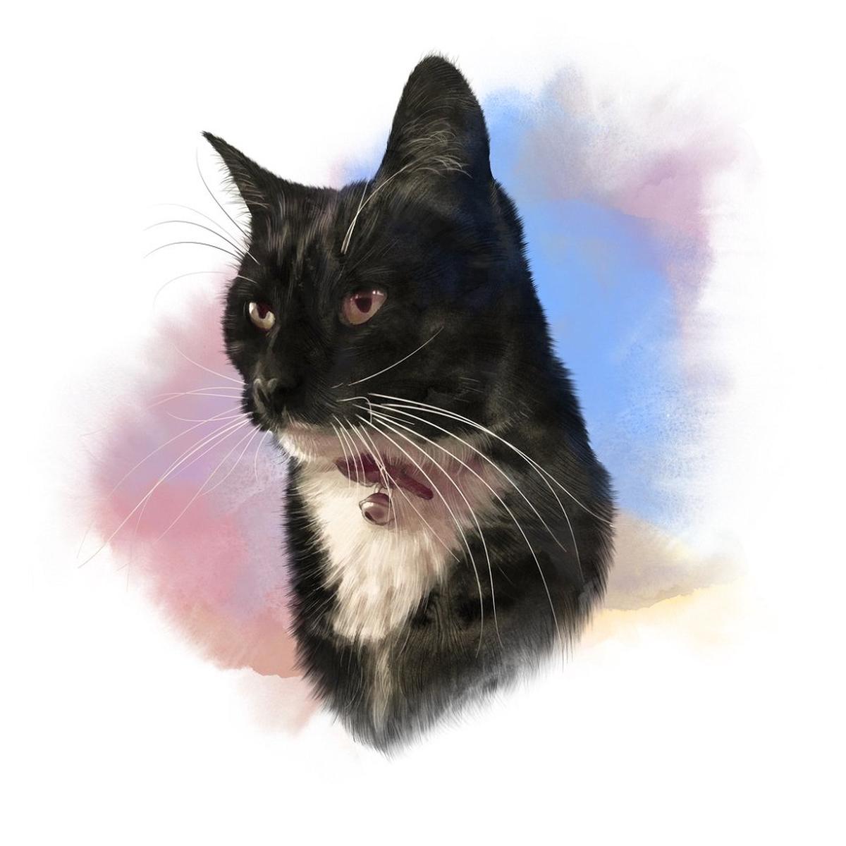 Black & White Cat Portrait Fabric Panel Variation 1 - Multi