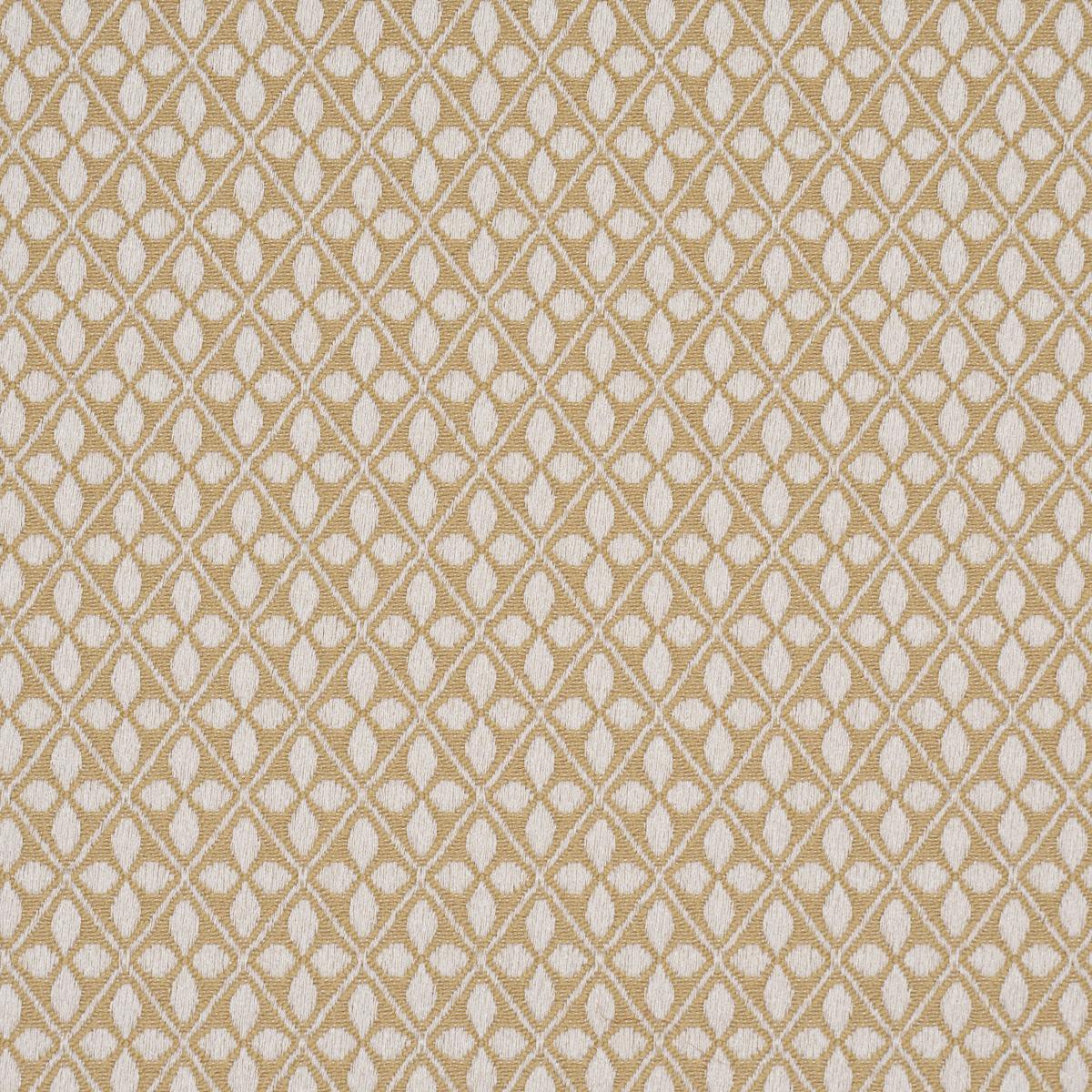 Schumacher Adams Damask Neutral Fabric