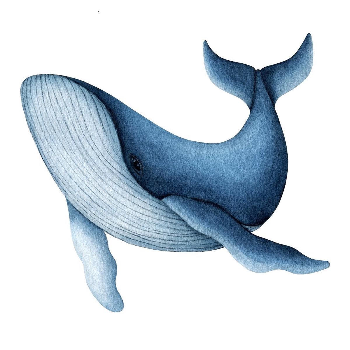 Watercolor Whale Fabric Panel