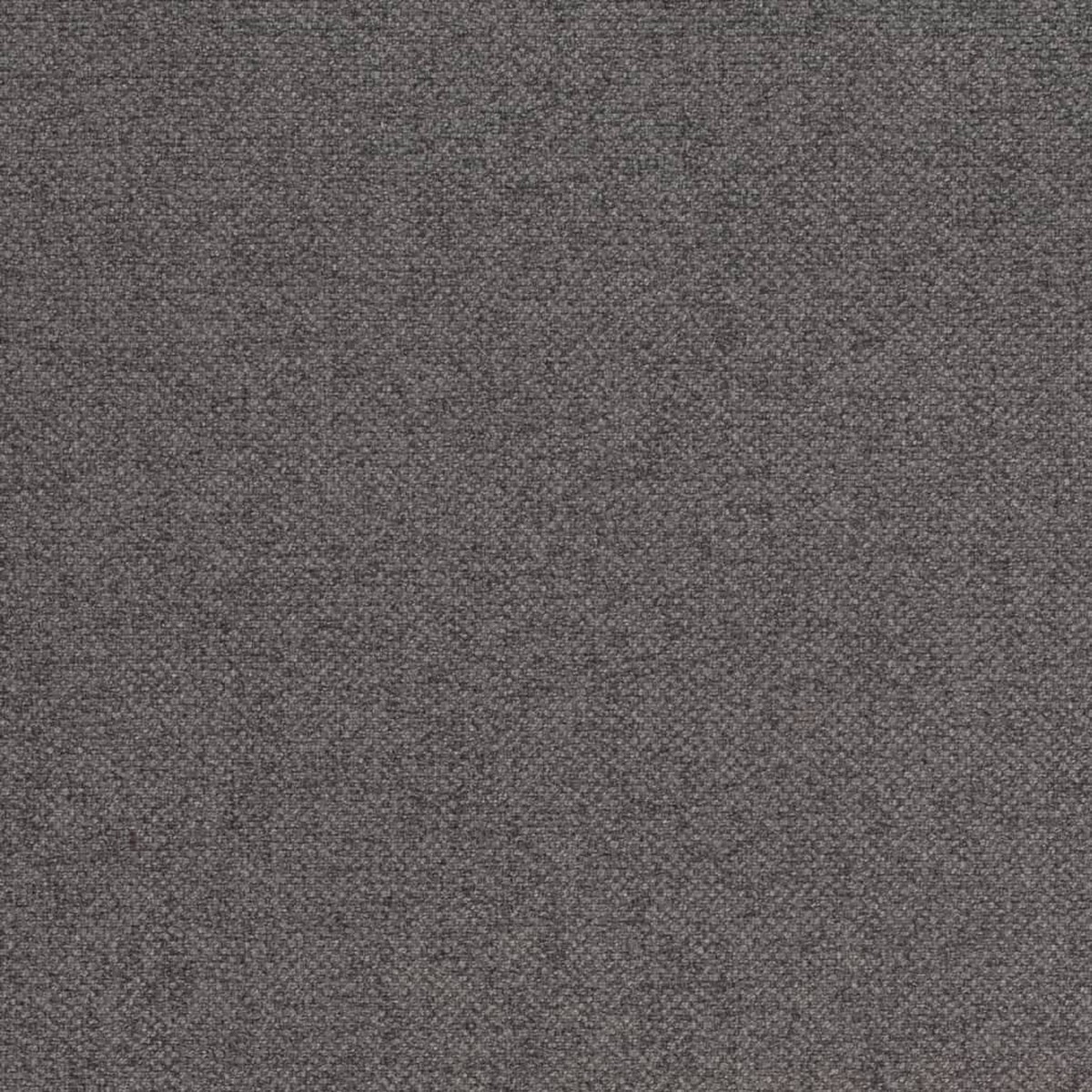 Charlotte - D3996 - Graphite - Fabric by the Yard