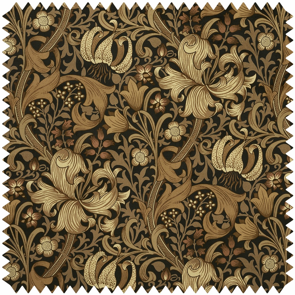 GOLDEN LILY Velvet - Black