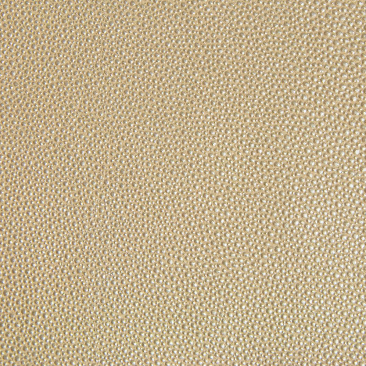 Kravet Design-Trezzo-16