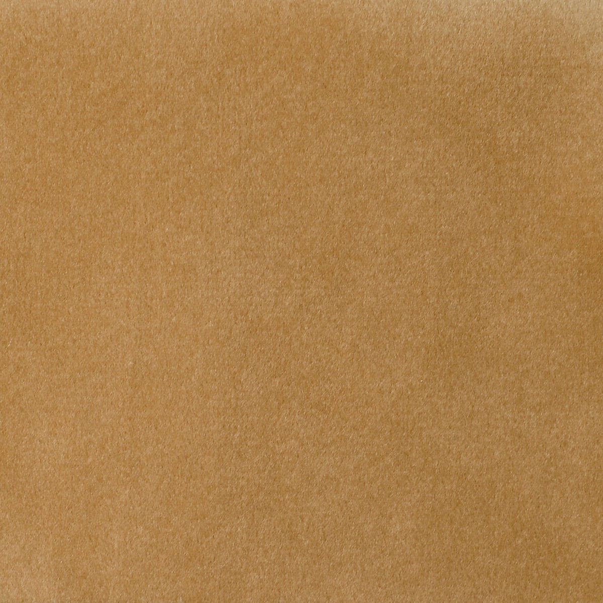 Safety Velvet - Latte by Scalamandre Fabric