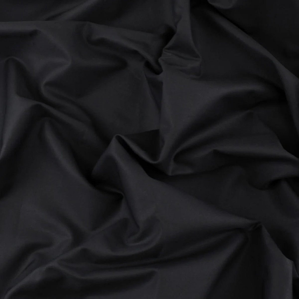 King Cotton in Black