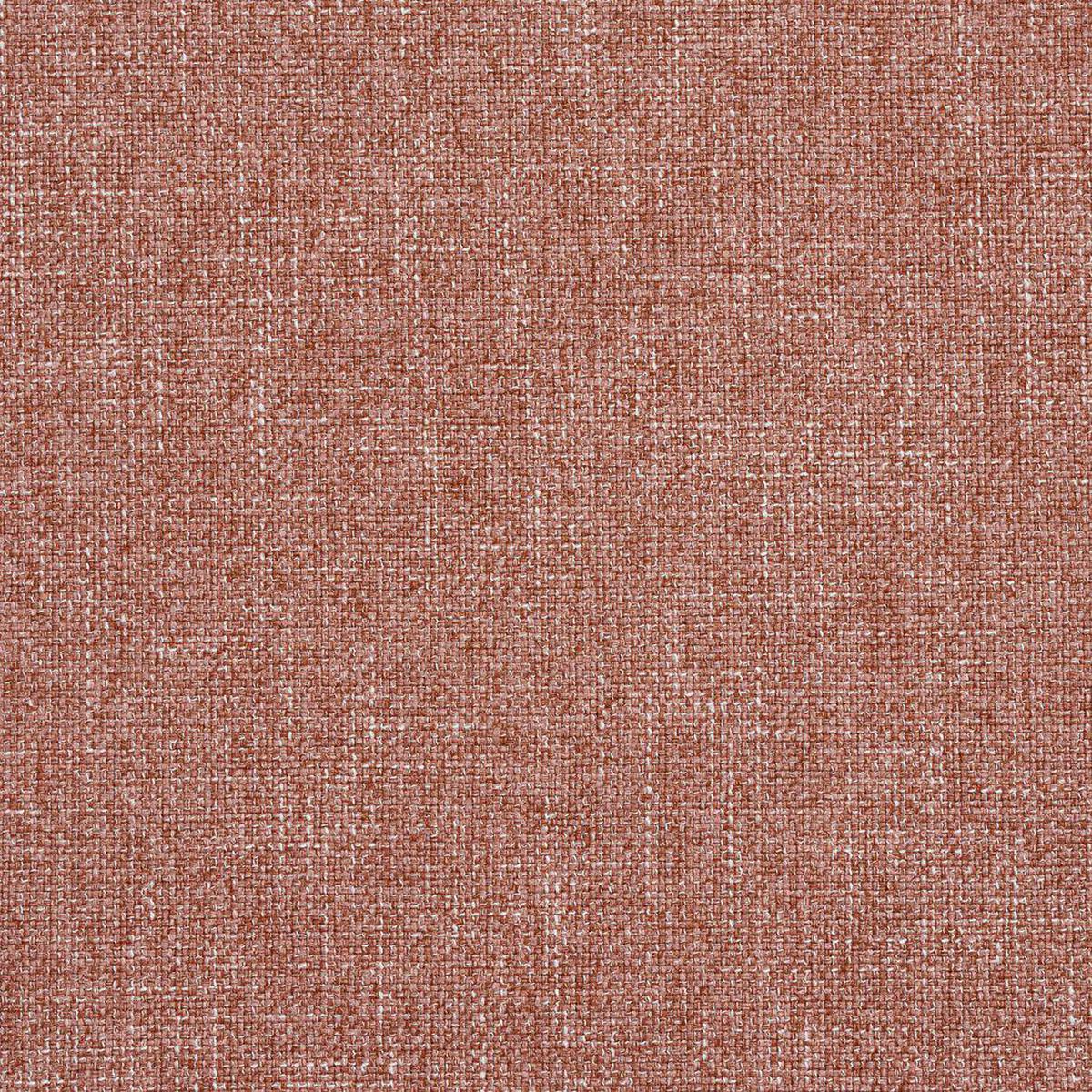Charlotte - R133 - Spice - Fabric by the Yard - Spice