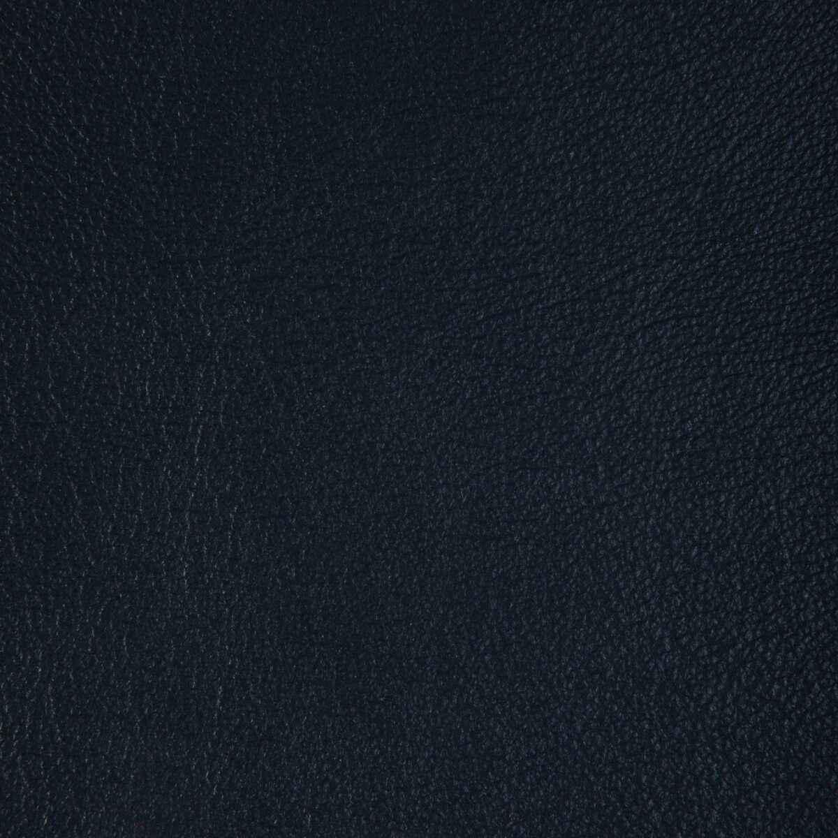 Lbadgerastro0 Kravet Design L Badger Astro Kravet Design Fabric