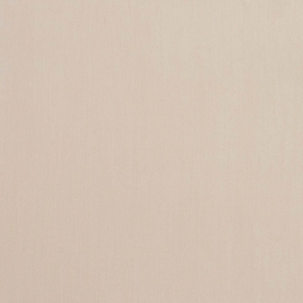 Charlotte - SH08 - Sand - Fabric by the Yard