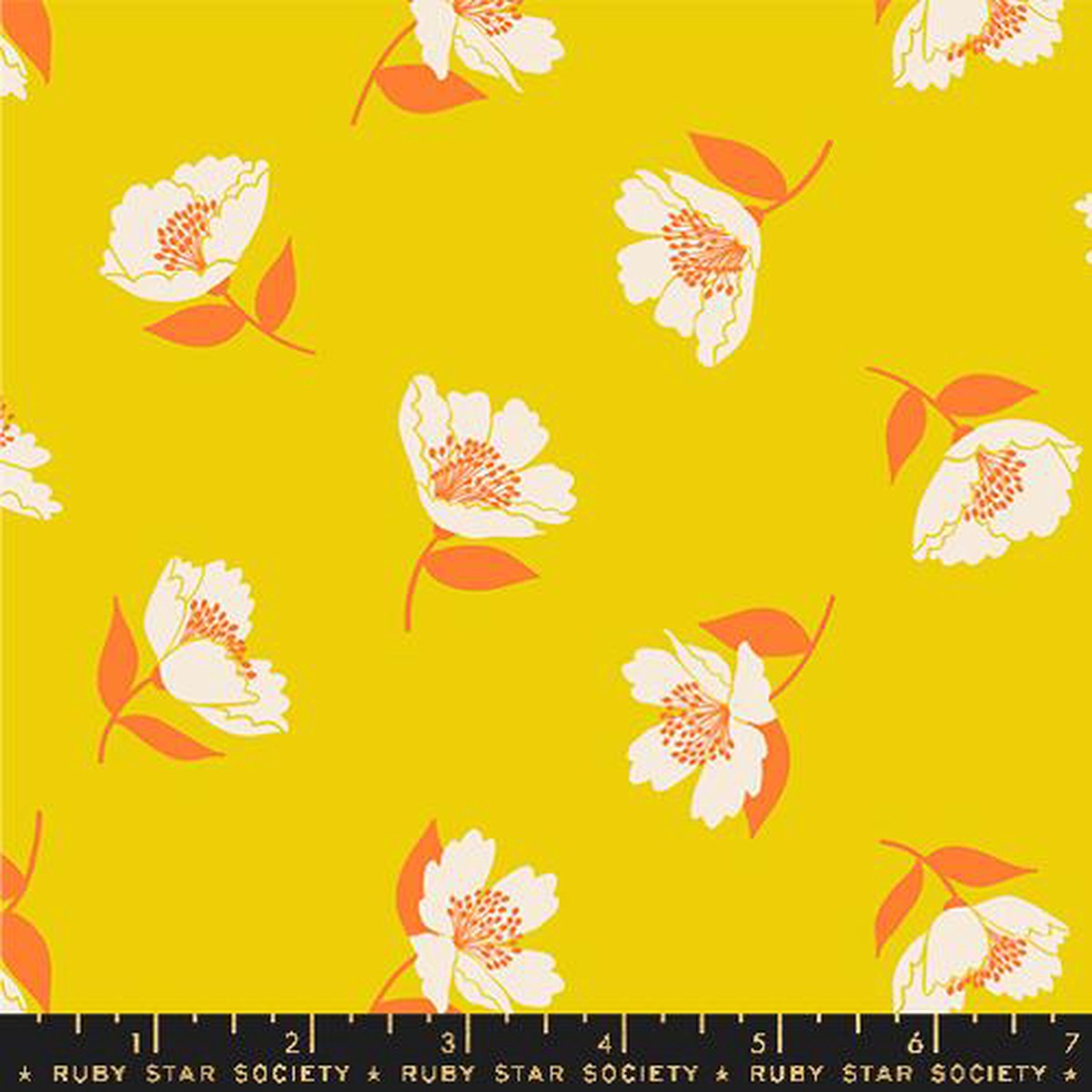 Ruby Star Society - Juicy by Melody Miller - Fluttering in Golden Hour