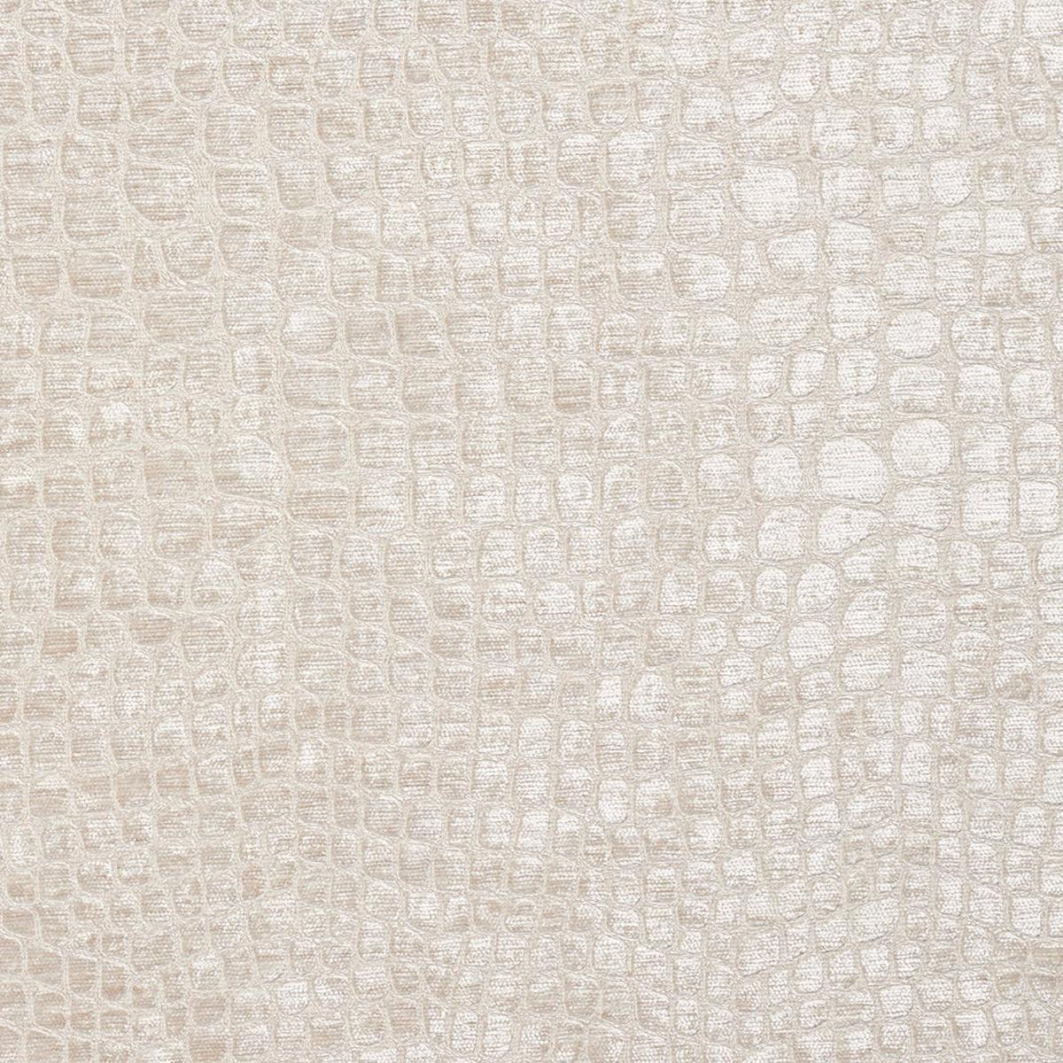 Charlotte - 10151-05 - Fabric by the Yard - 10151-05