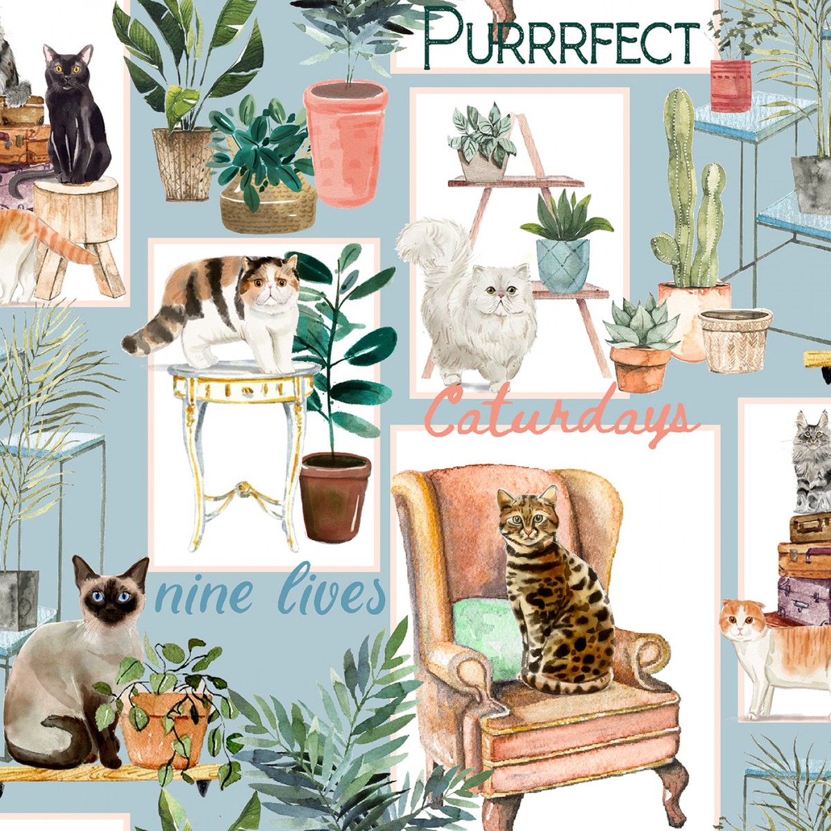 Everyday Is Caturday Cat Patch Blue
