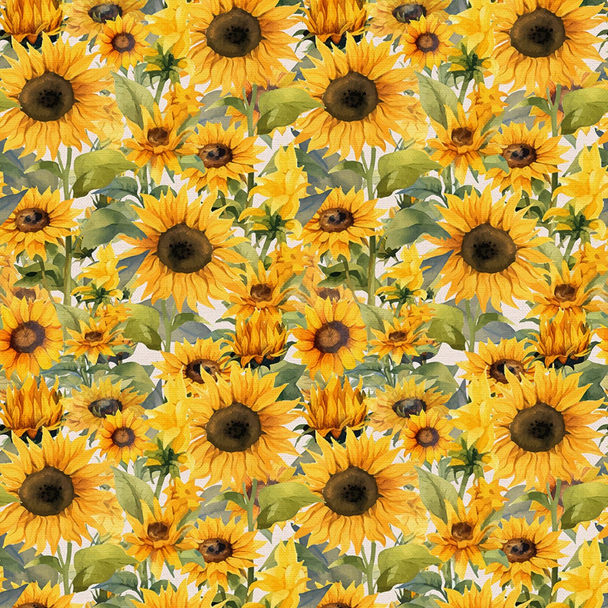 Sunflower Field