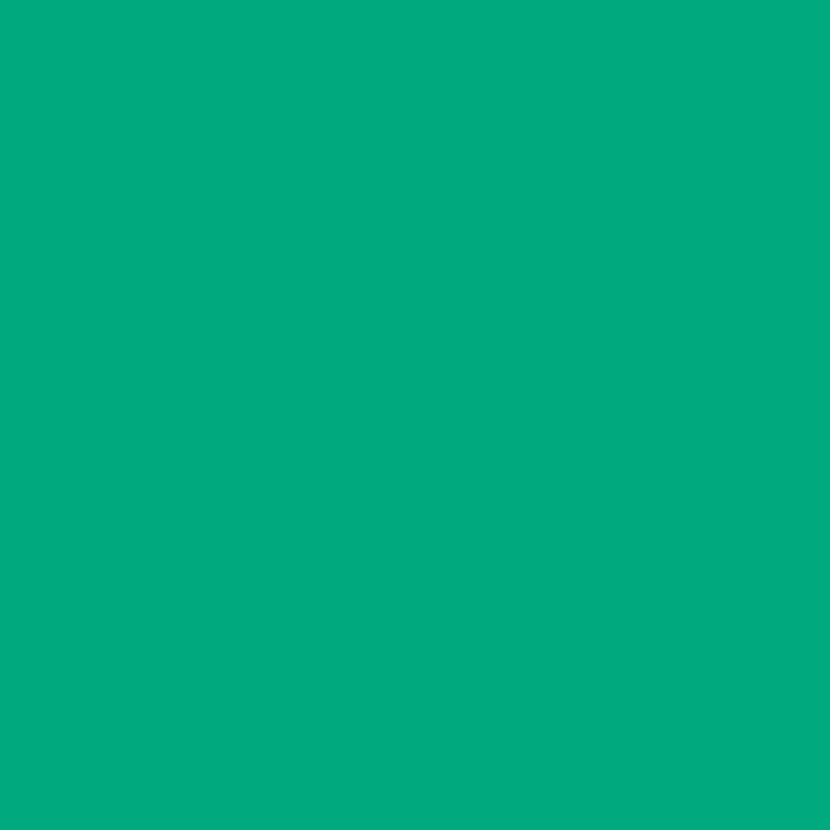 Superior Solids Col.46 Spruce