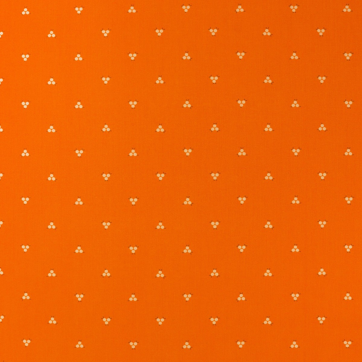 Tangerine Fabric Collection - Sweet Tangerines