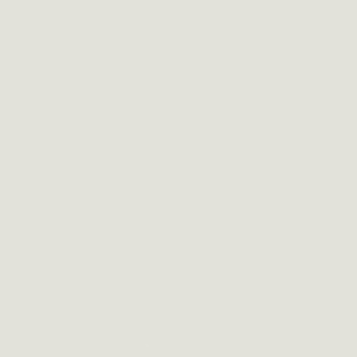 Fabric Riley Blake Sand Dollar Confetti Cotton by the Quarter Yard C120-SANDDOLLAR