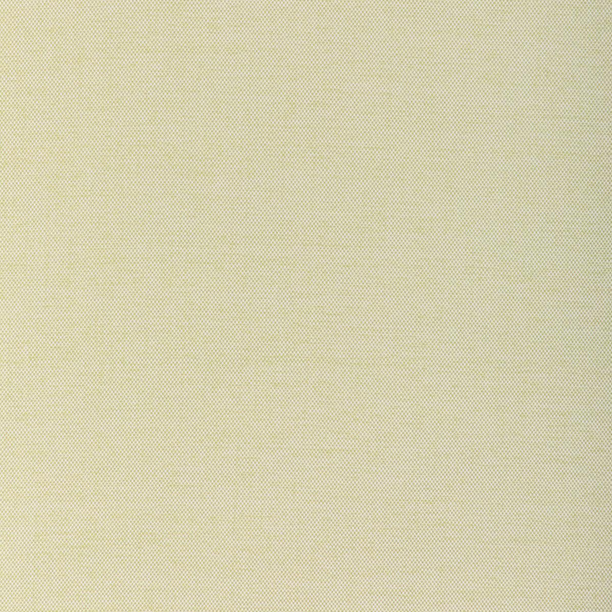KRAVET COUTURE - SOFTGROUND- CACTUS - Fabric by the Yard - CACTUS