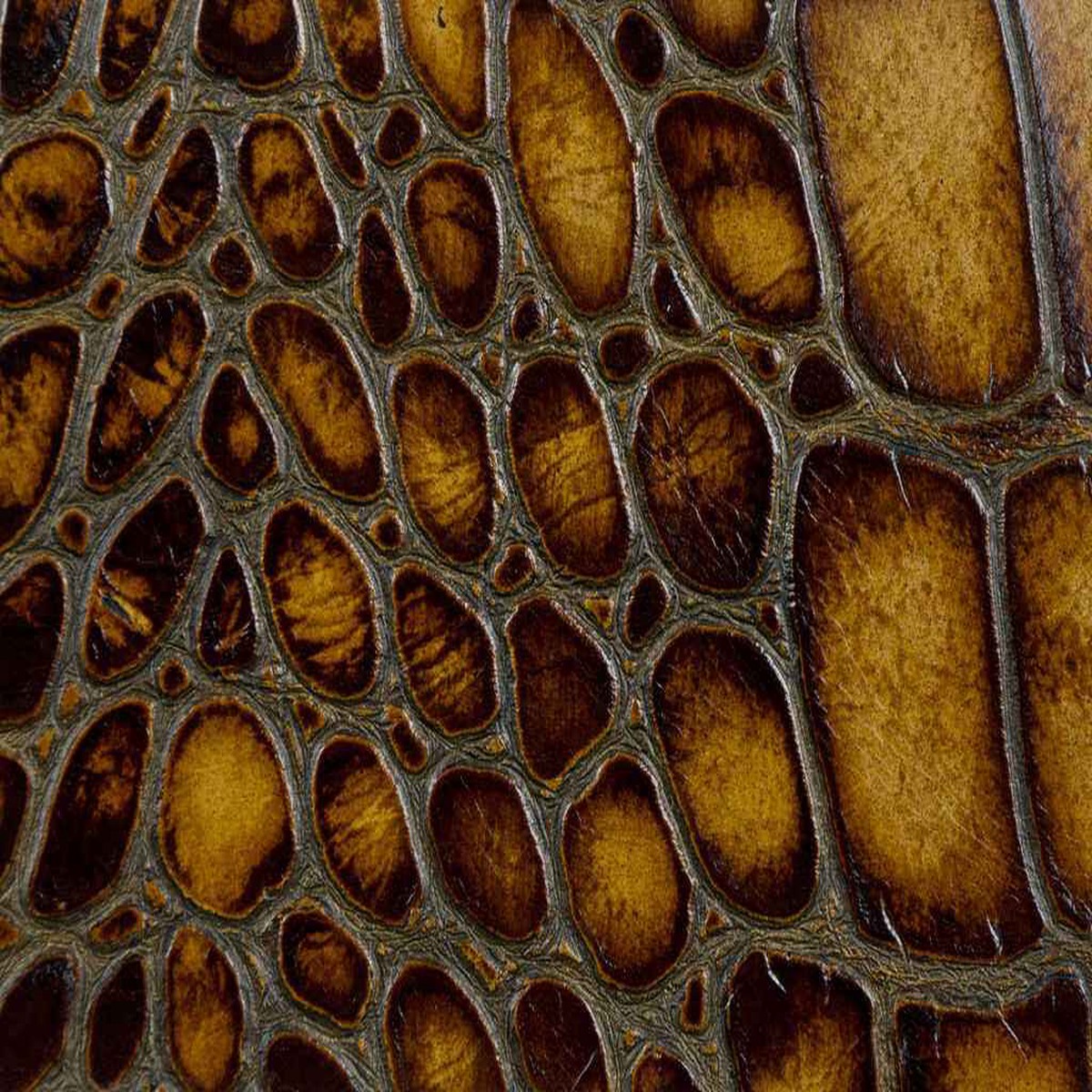 Ltuscanyhazelnut0 L Tuscany Hazelnut Kravet Couture Fabric