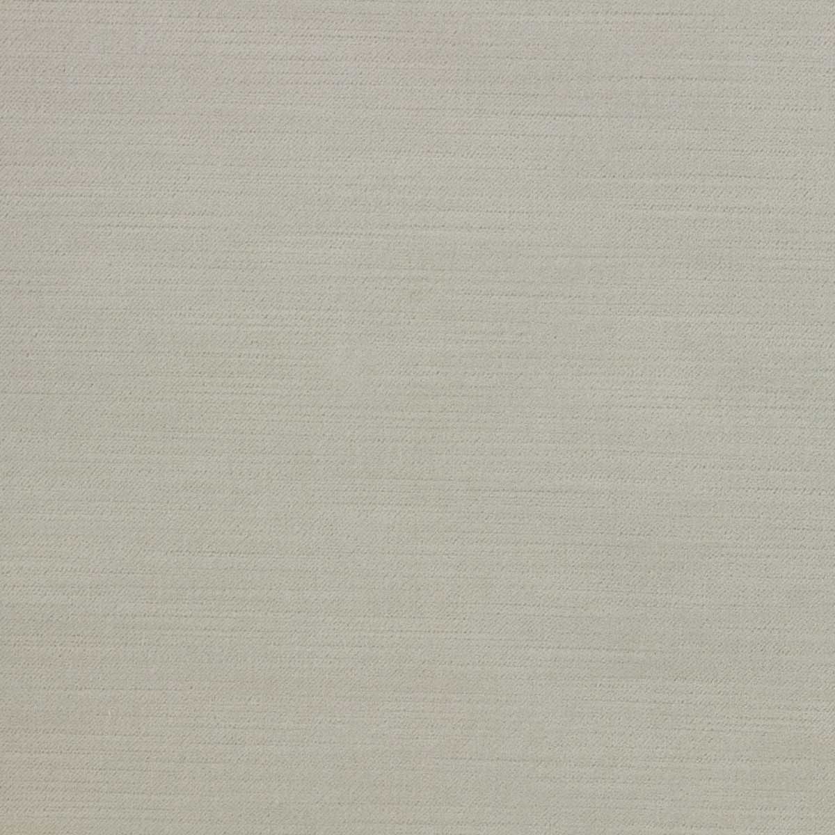 Ella Pfr (Ri) - Performance - Canvas