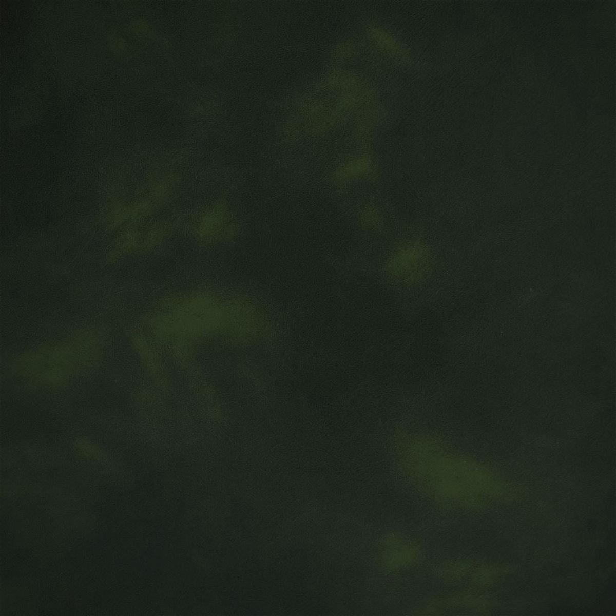 Designers Guild Essentials Matara Lucida Forest