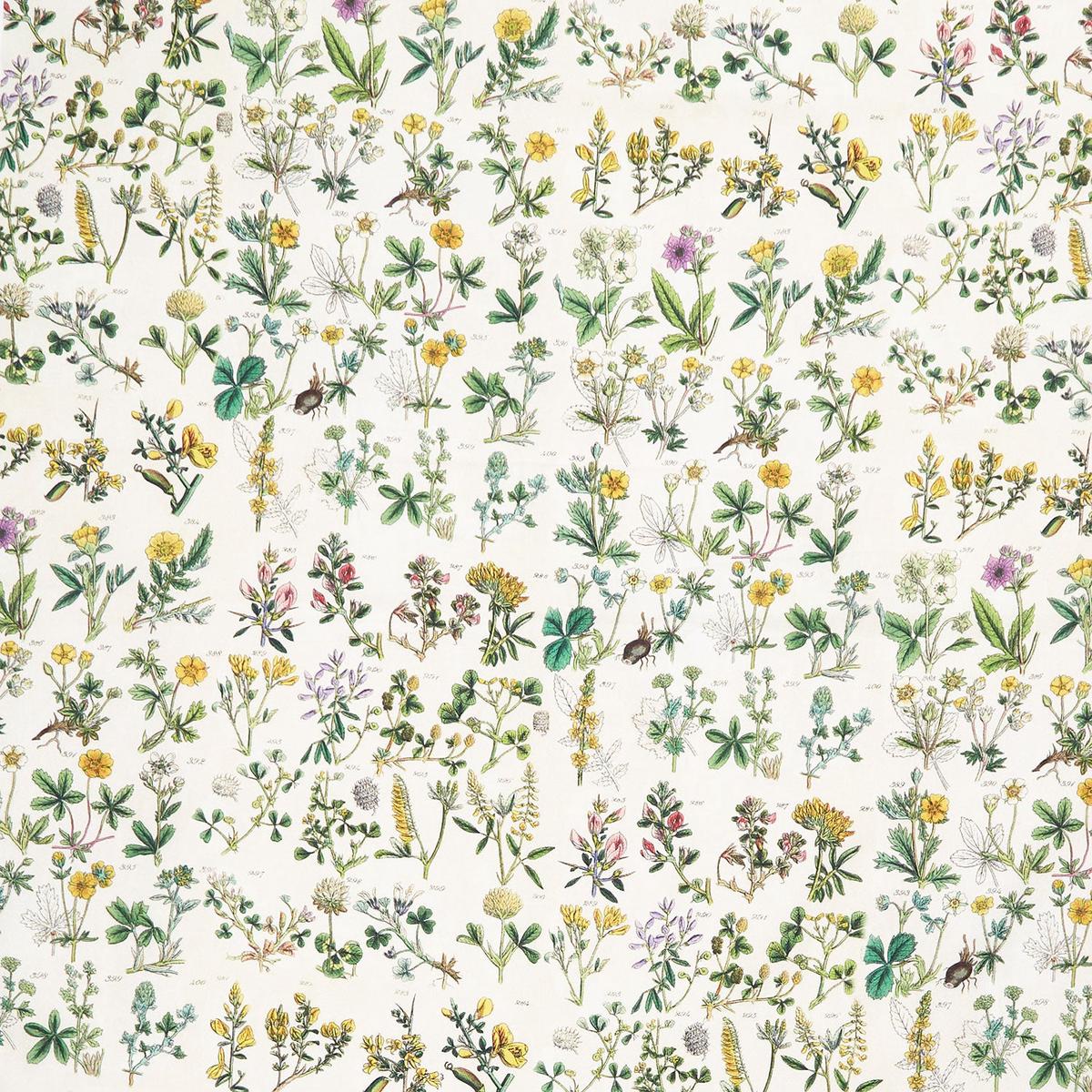 Eclectic Elements - Palette Botanical Yellow Yardage