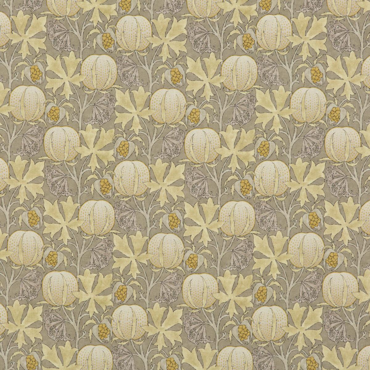Pumpkins-Grey/Ochre