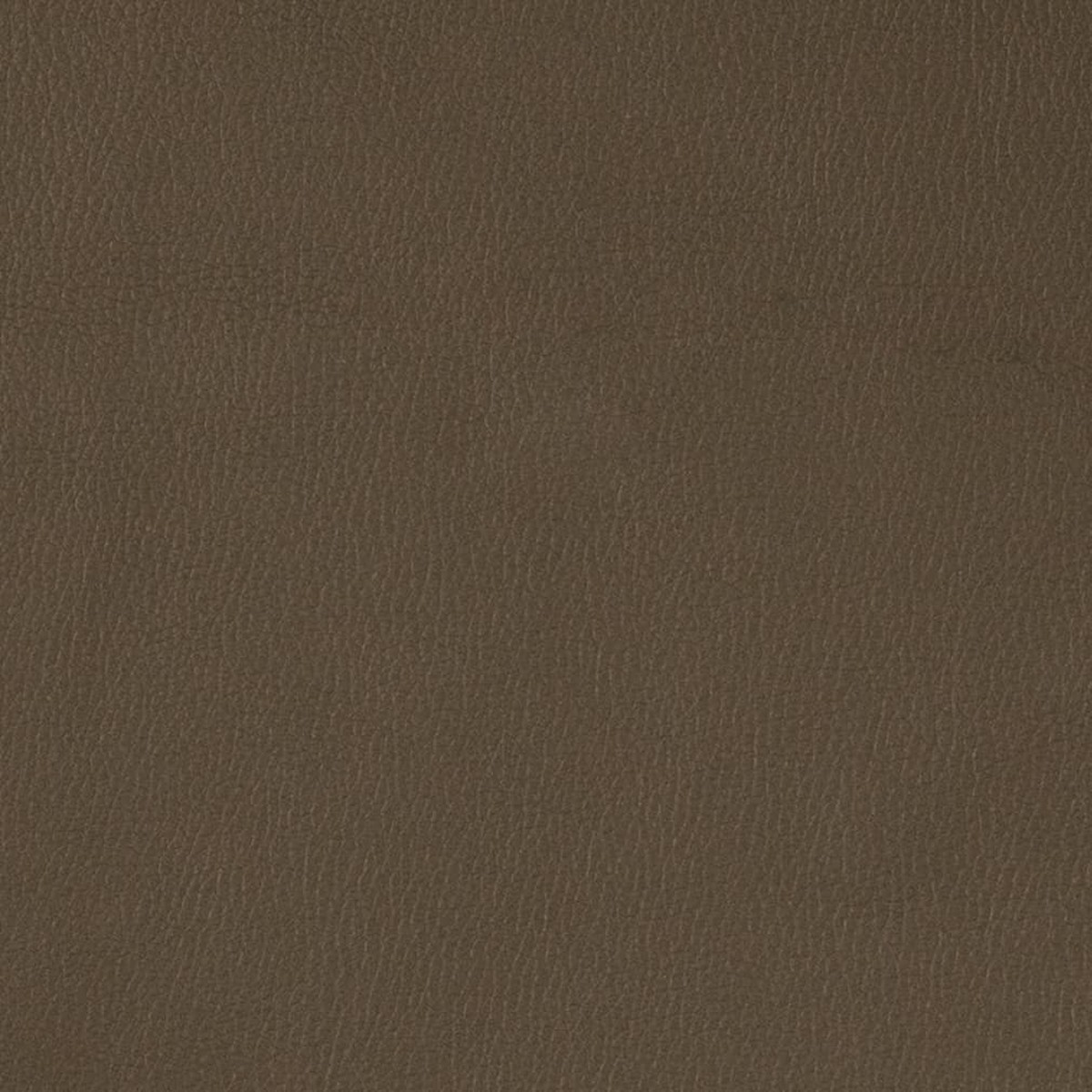 Charlotte - V788 - Graphite - Fabric by the Yard