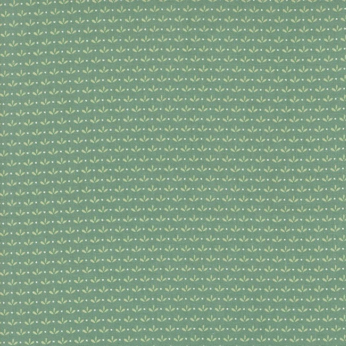 Raspberry Summer - Sprout Blenders Teal