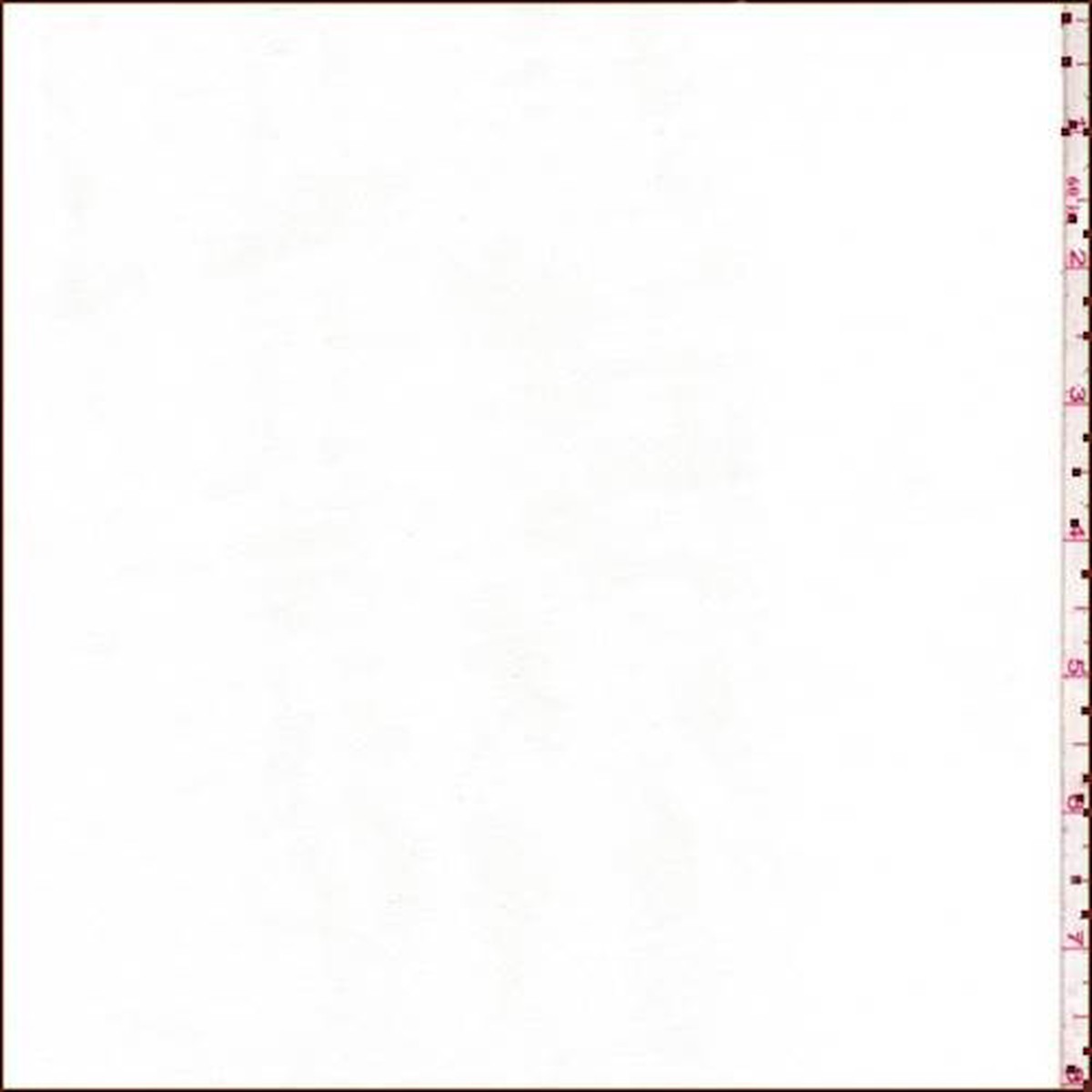 2 YD PC-White Polyester Crepe Fabric