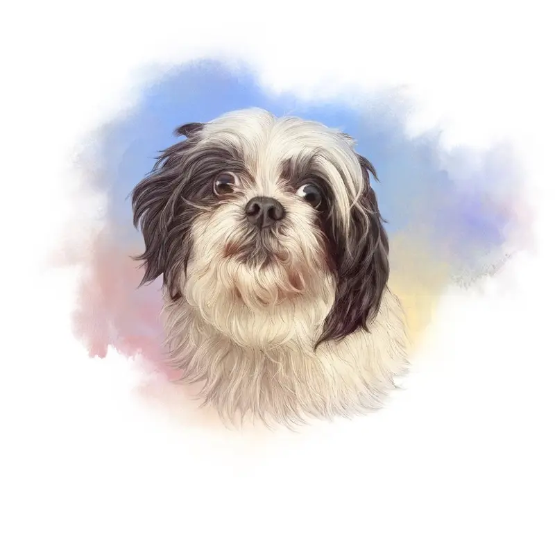 Black & White Toy Poodle Portrait Fabric Panel