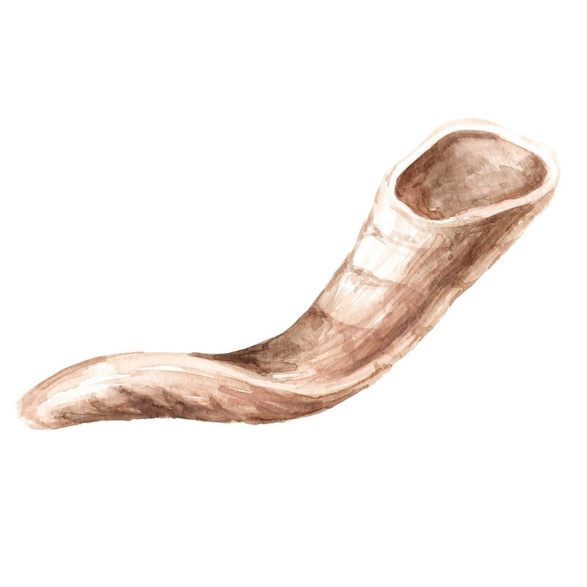 Rams Horn Fabric Panel