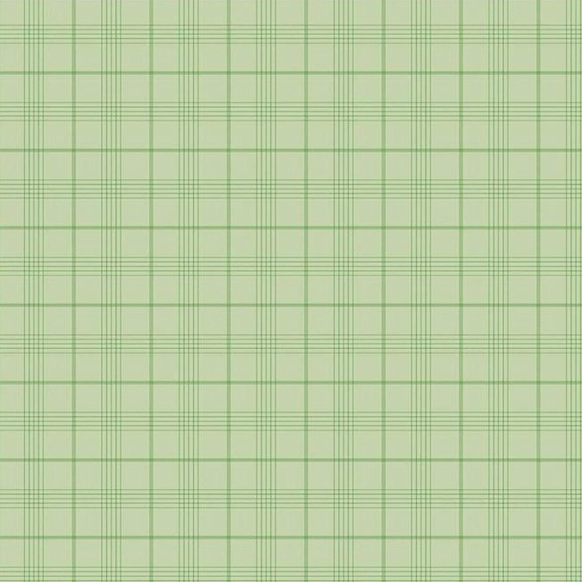 Riley Blake - Peter Rabbit & Friends Plaid Fern