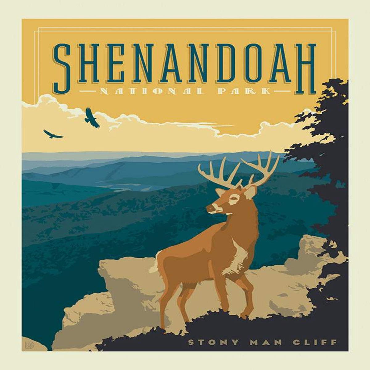National Parks Poster Panel Shenandoah -- Riley Blake
