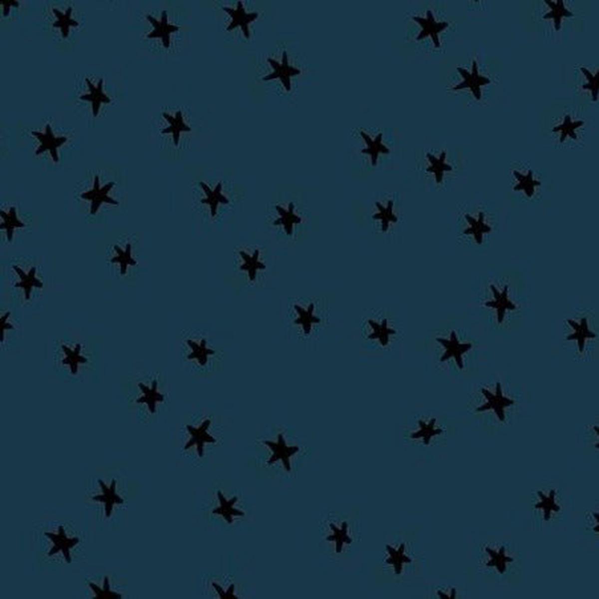 Smoke Starry by Ruby Star Society for Moda (14 yard)