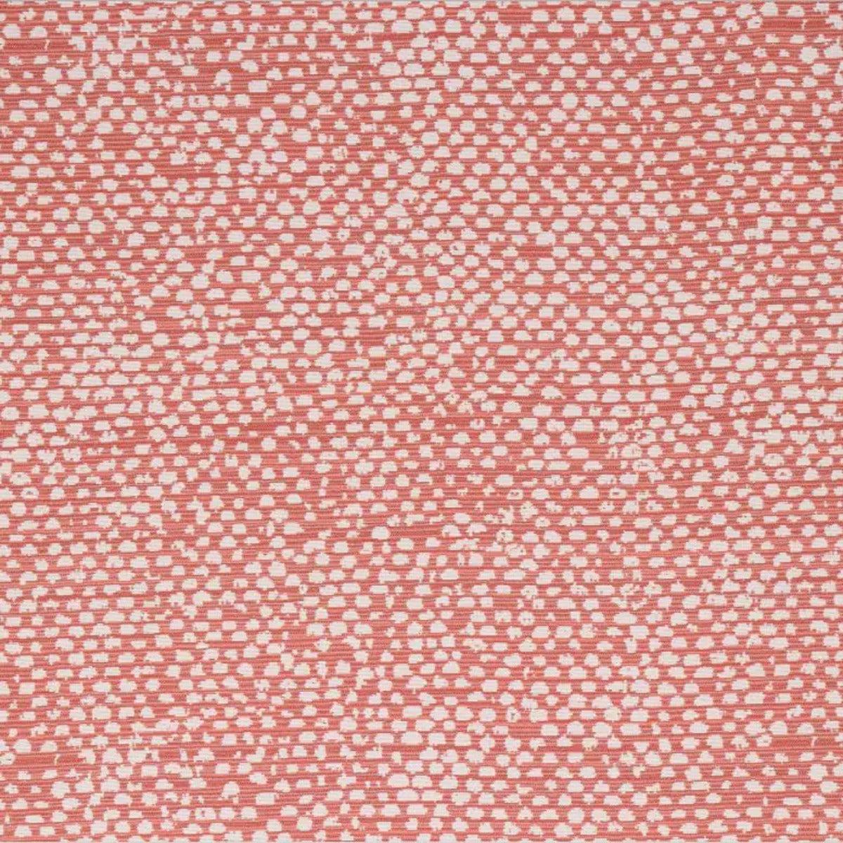 Conga Terracotta Bella Dura Fabric