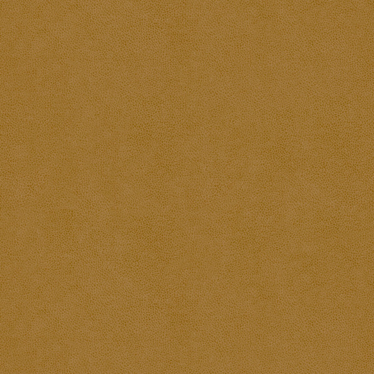 Abilene in Saddle By Kravet Contract