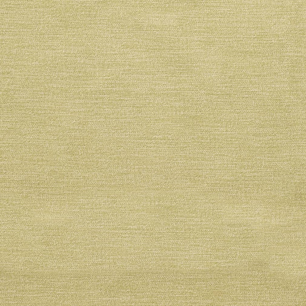 D3841 Lime
