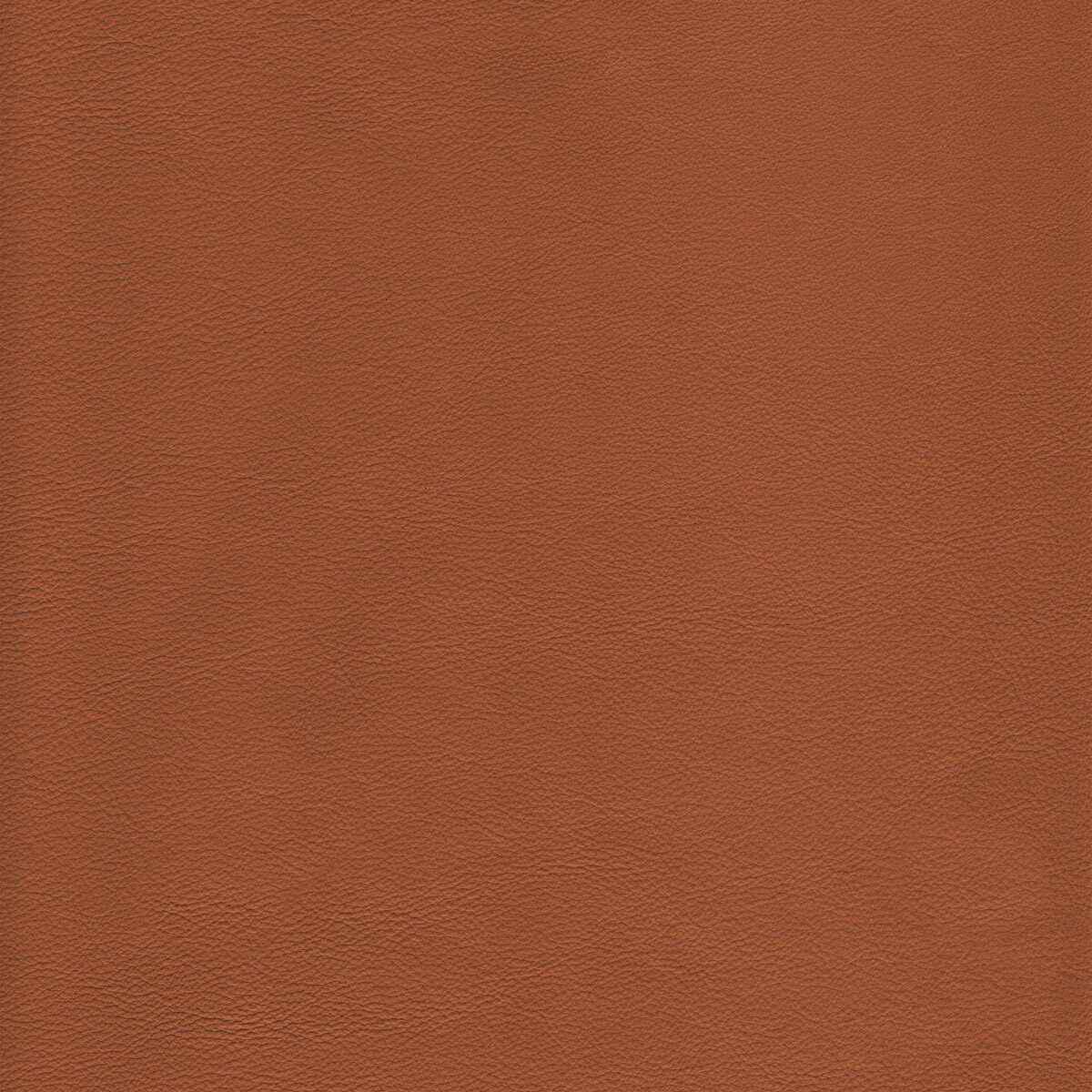Lhowdytoffee0 Kravet Design L Howdy Toffee Kravet Design Fabric