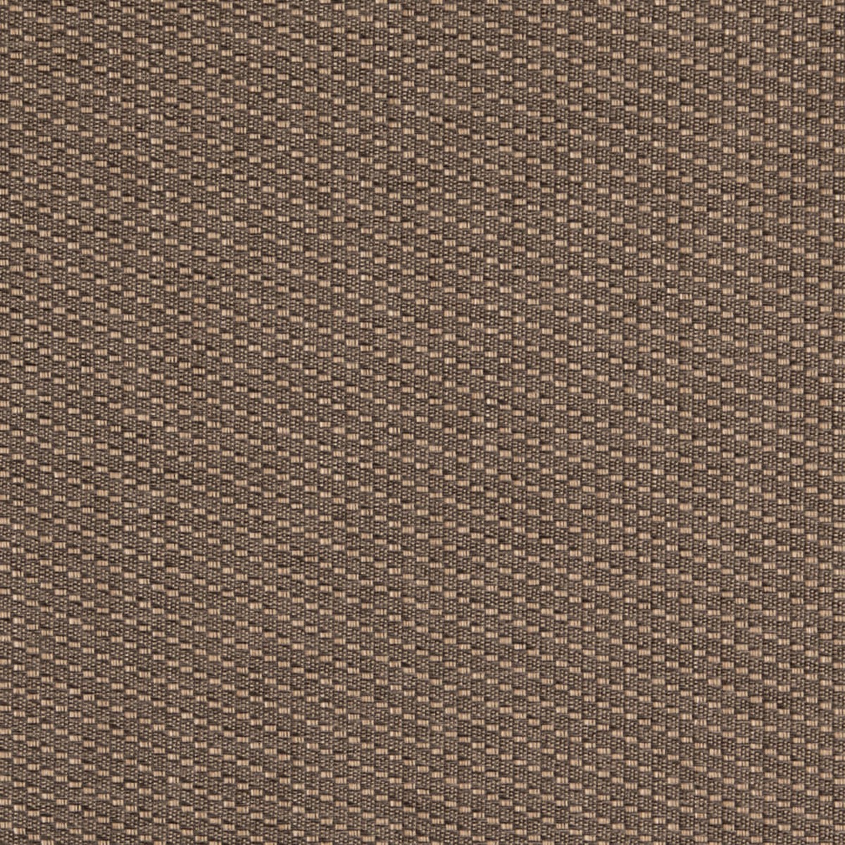 Charlotte - D4994 - Mushroom - Fabric by the Yard