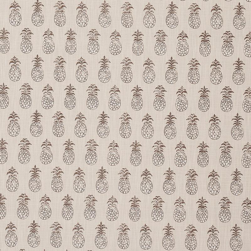 PIA COVE INDOOR/OUTDOOR | Coconut