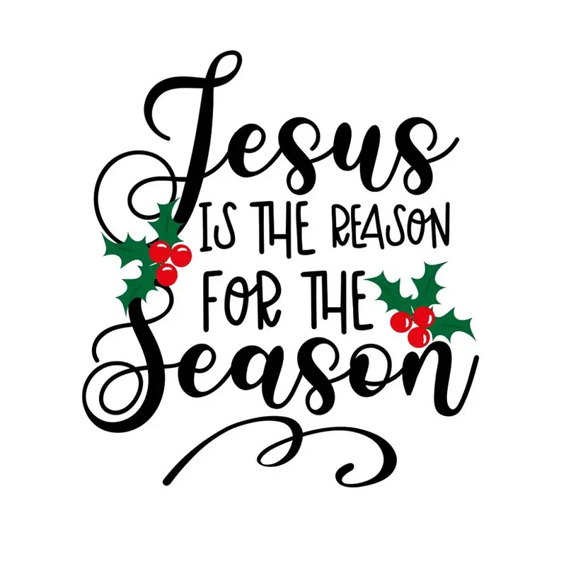 Jesus Is The Reason Fabric Panel