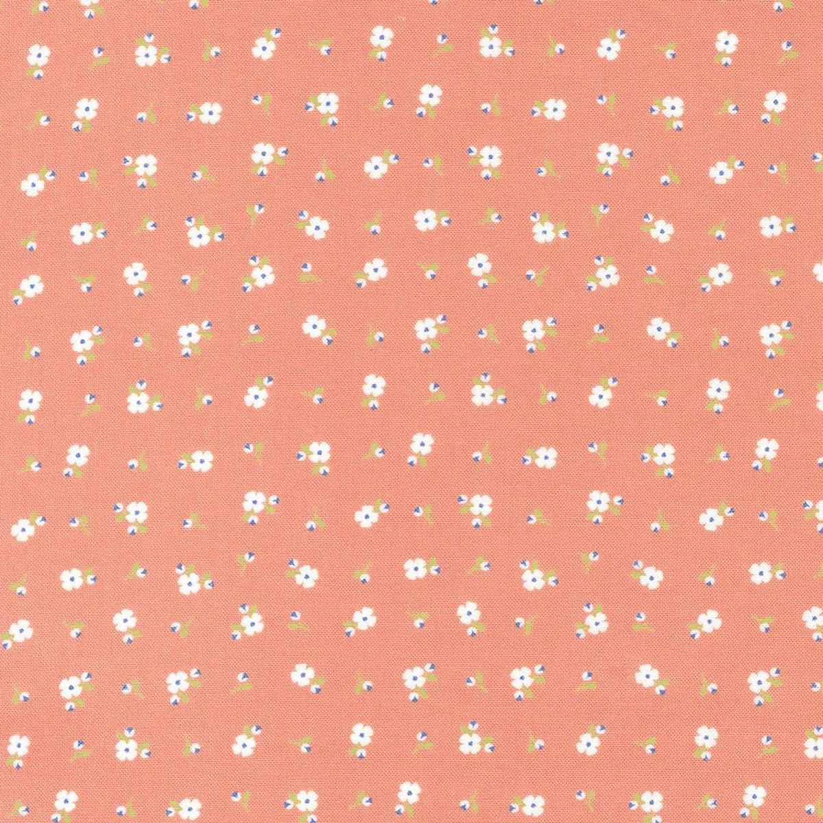 Peachy Keen - Pixie Ditsy Peach