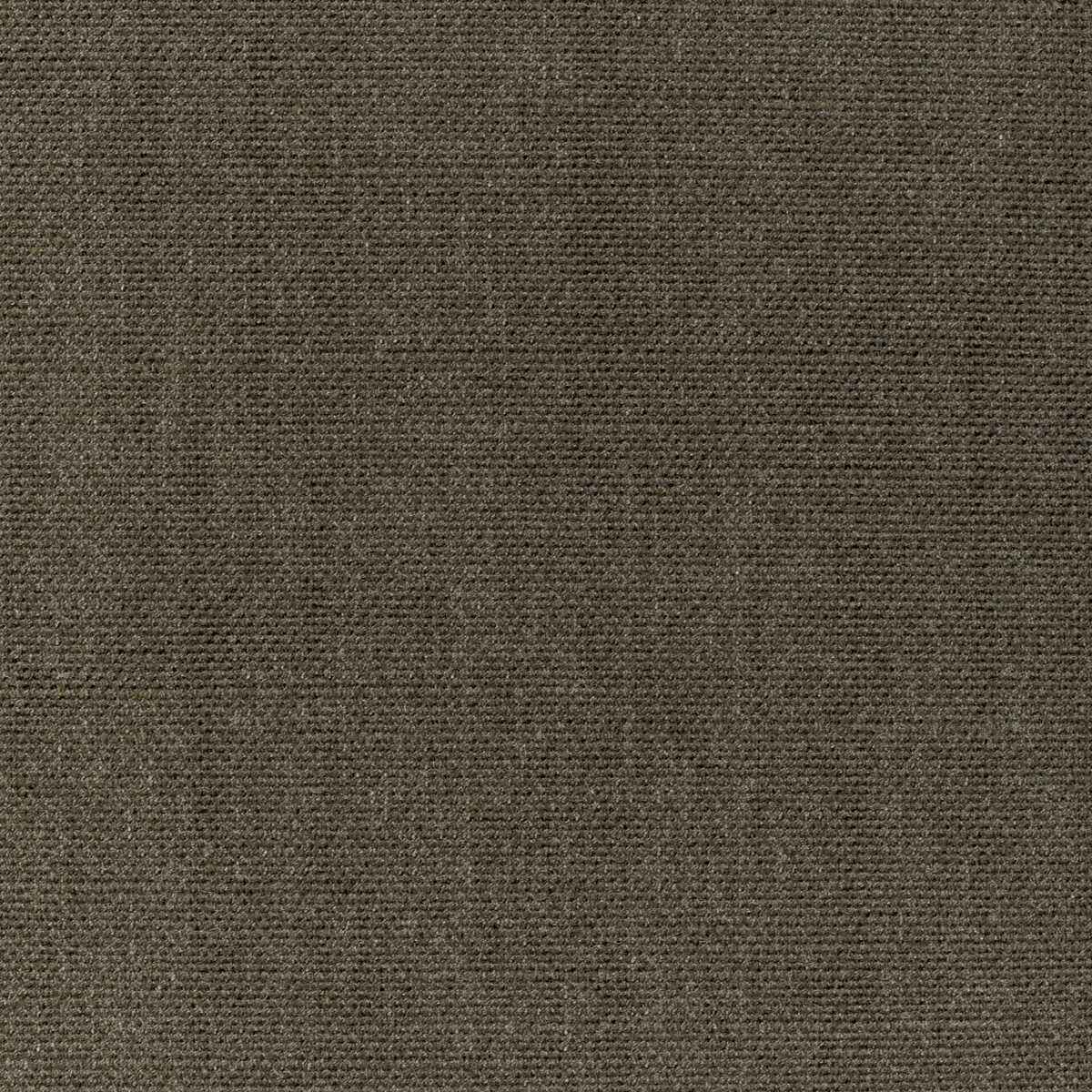 Kravet Smart 36112 311 Fabric