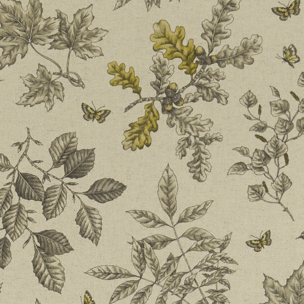 CLARKE AND CLARKE - HORTUS- CHARCOAL/OCHRE - Fabric by the Yard