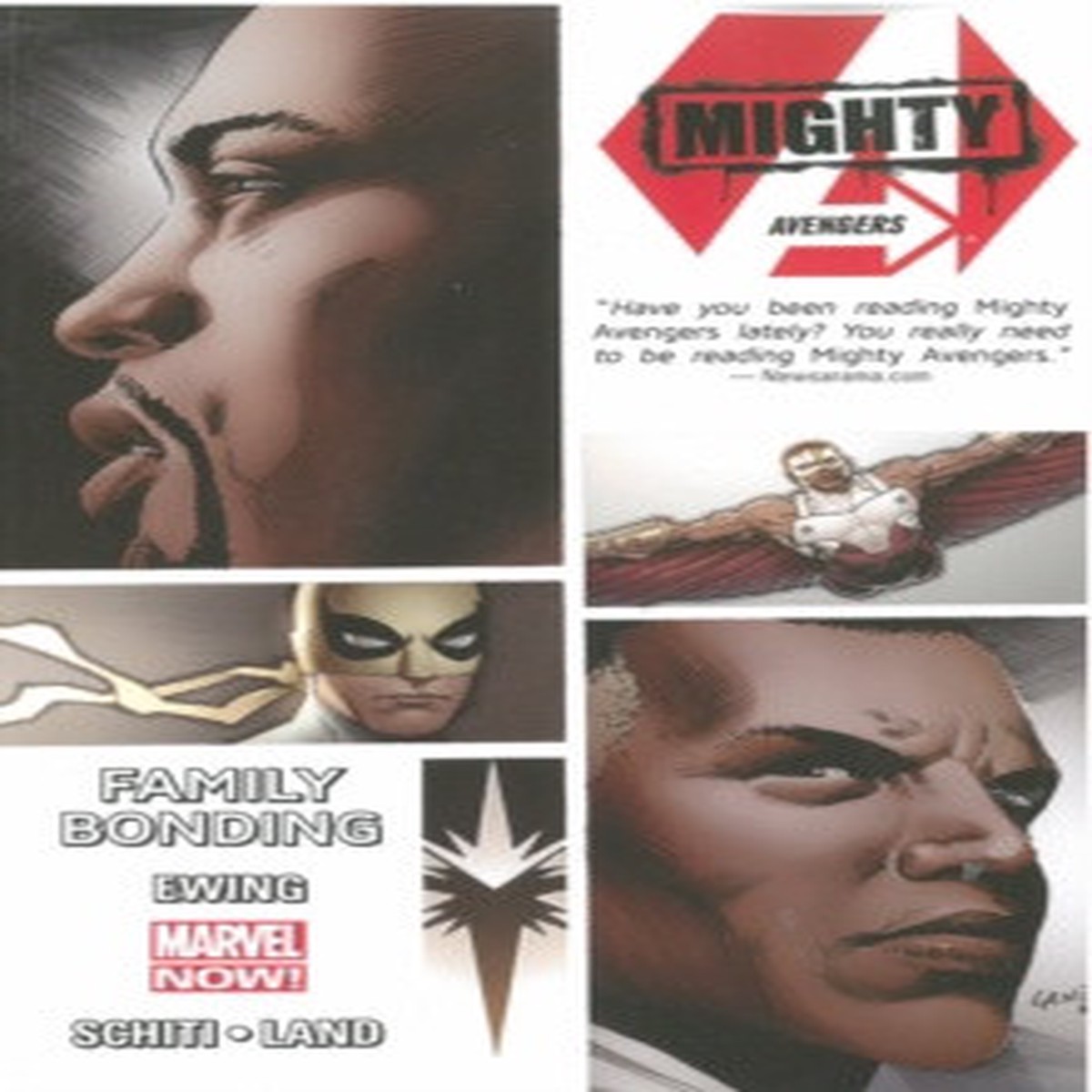 Mighty Avengers Volume 2: Family Bonding