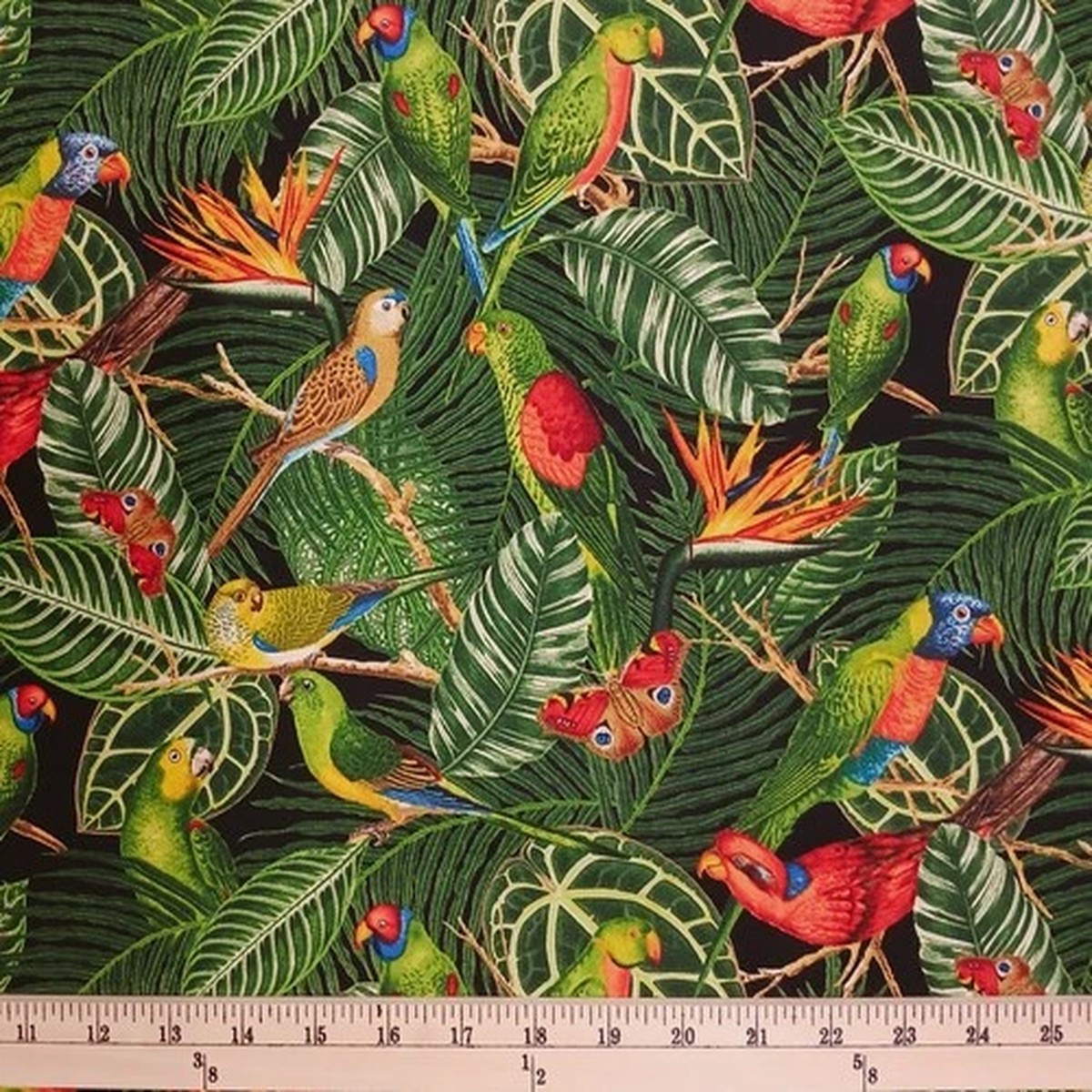 Cotton Tropical Parrots Birds Butterflies Jungle Fabric Print by Yard D388.80