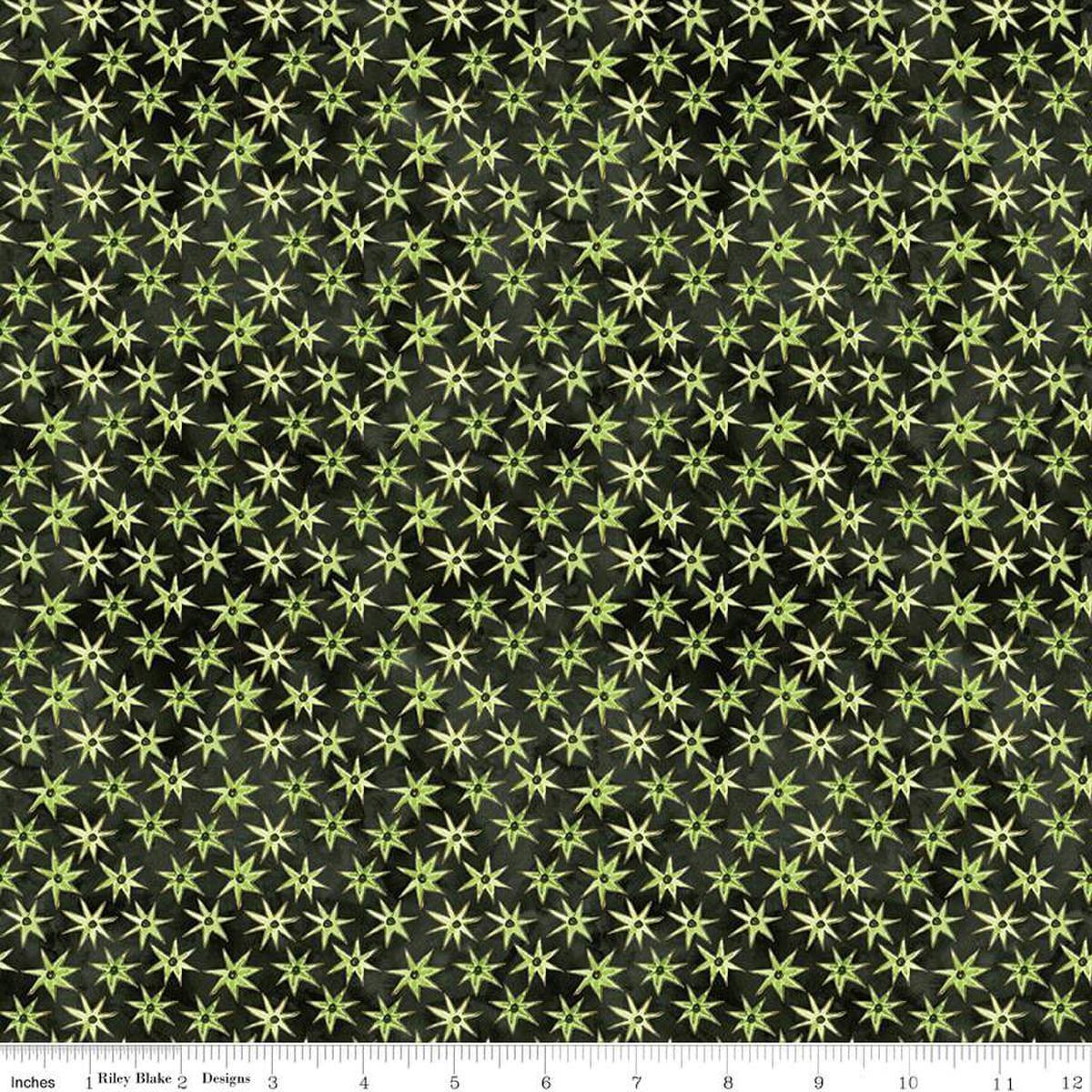 SALE Ghoul Friends Stars Black Halloween Fabric C16055 - Riley Blake Quilting Cotton Fabric