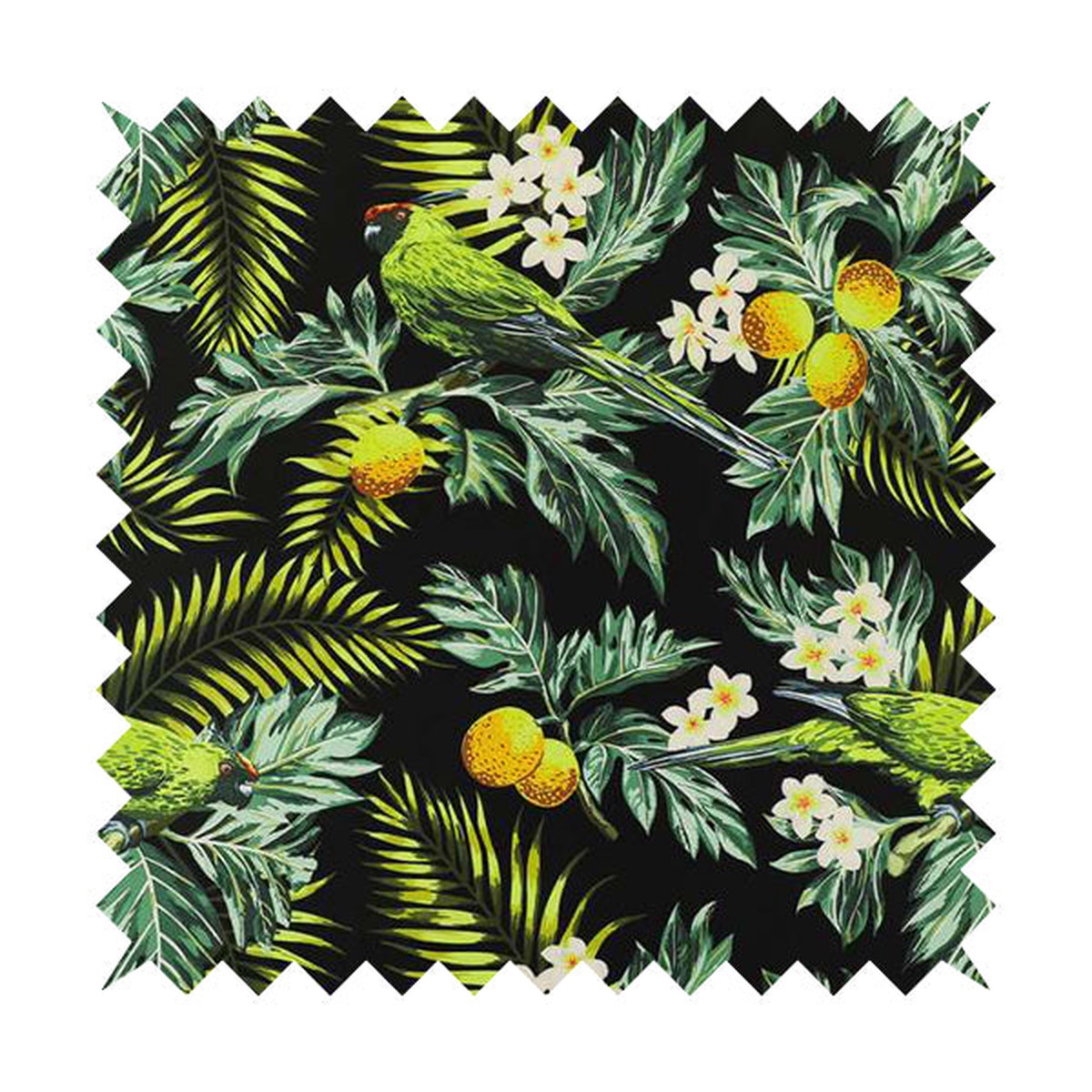 Freedom Printed Velvet Fabric Black Jungle Life Birds Pattern Upholstery Fabric CTR-470