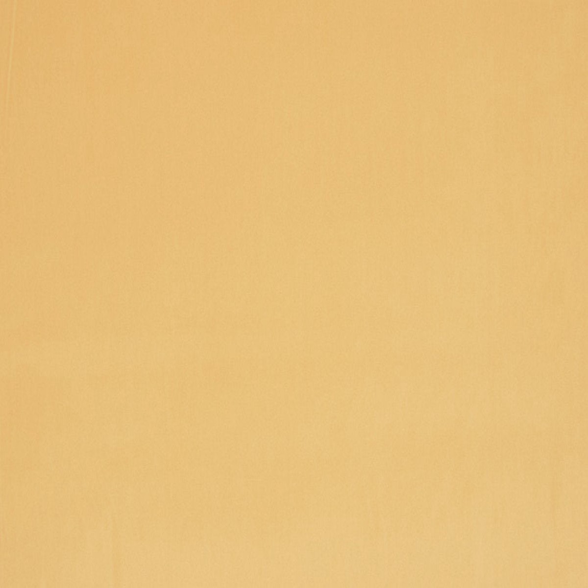 Vip - Mustard by Scalamandre Fabric