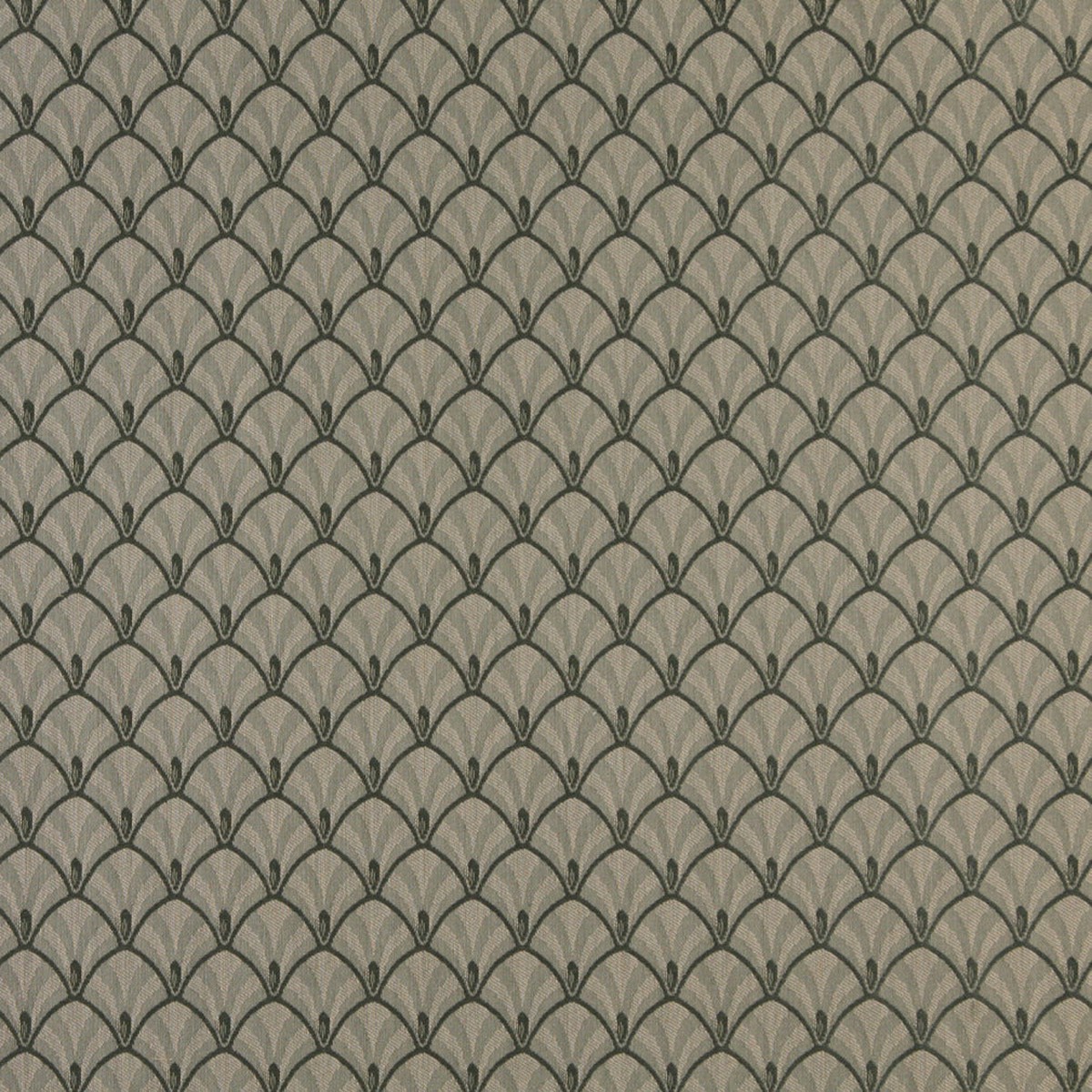 4309 Abstract & Geometric Juniper Fan Green Charlotte Fabrics